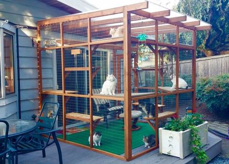 Outdoor Cat Run, Catio Plans, Diy Cat Enclosure, Katt Grejer, Cat Patio, Outdoor Cat Enclosure, Cat Run, Outdoor Cat House, Cat Playground