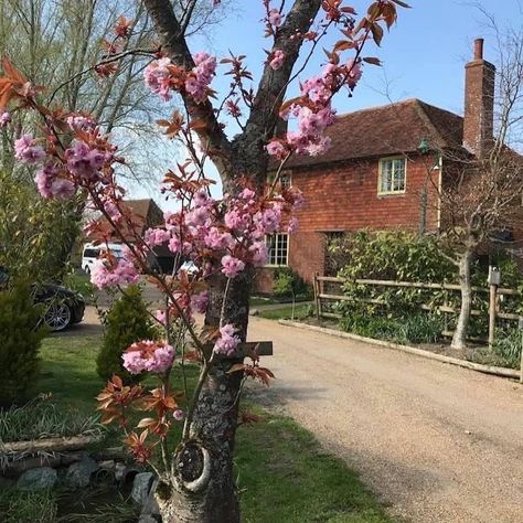 A trip to the Darling Buds Of May Farm was a perfick getaway! A beautiful place in the middle of the Kent countryside Darling Buds Of May Aesthetic, The Darling Buds Of May, Kent Countryside, Darling Buds Of May, Beautiful Place, Pretty Places, Summer Aesthetic, In The Middle, The Middle