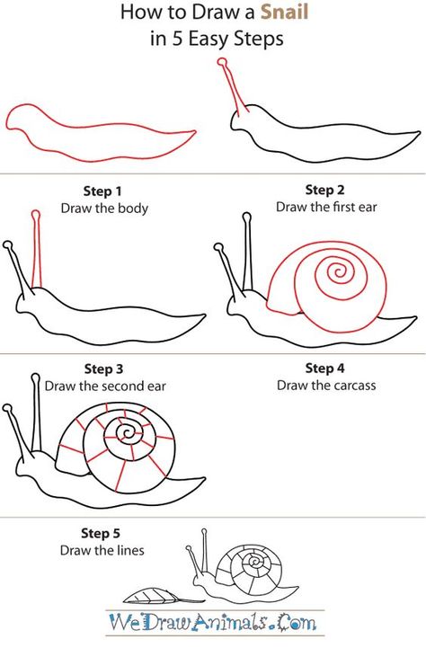 How to Draw a Snail Garden Snail Drawing, How To Draw A Snail, Cute Snail Doodle, Snail Doodle, Snail Painting, Snail Drawing, Bugs Drawing, Snail Craft, Garden Snail