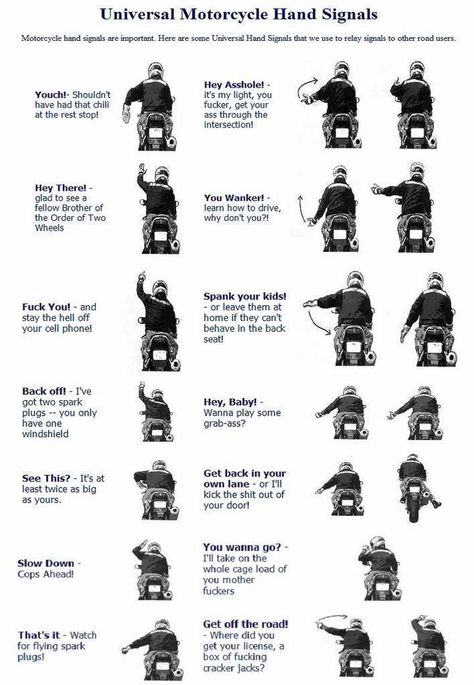 universal motorcycle hand signals | Universal Motorcycle Hand Signals Motorcycle Outfits For Women Aesthetic, Patting Head, Learning To Drive Tips, Beginner Motorcycle, Dream Motorcycle, Bike Humor, Motorbike Parts, Biker Stuff, Motorcycle Tips