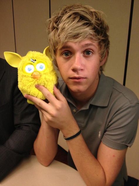 furby niall lmfaoo One Direction Music, We Found Love, One Direction Photos, My Prince Charming, One Direction Pictures, James Horan, Larry Stylinson, Prince Charming, My Prince