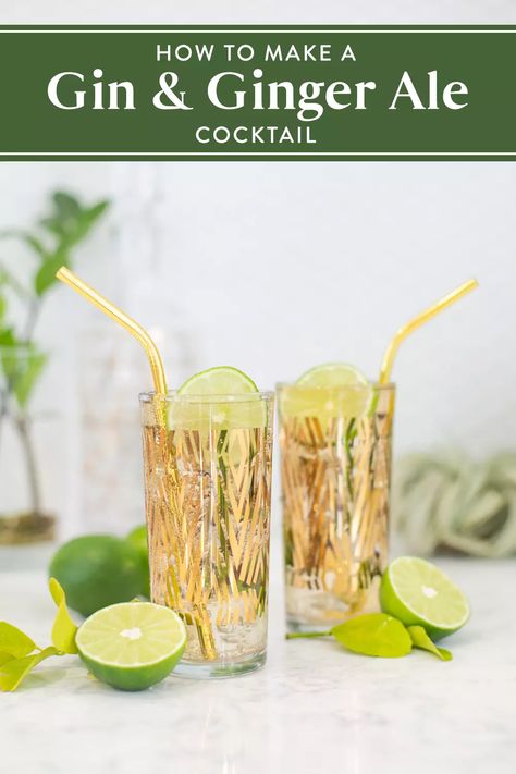 Gin and ginger ale make an absolutely delicious combination! Learn how to mix a perfect cocktail, and find out our favorite extras to make a gin and ginger even better. Click to find out how to customize these two ingredients to make your own cocktail recipes at home, for parties, or for date night. Gin And Ginger Ale, Gin Ginger Ale Cocktails, Ginger Ale Drinks, Ginger Ale Cocktail, Ginger Ale Recipe, Cocktail Recipes At Home, Easy Gin Cocktails, Ginger Beer Cocktail, Happy Drink