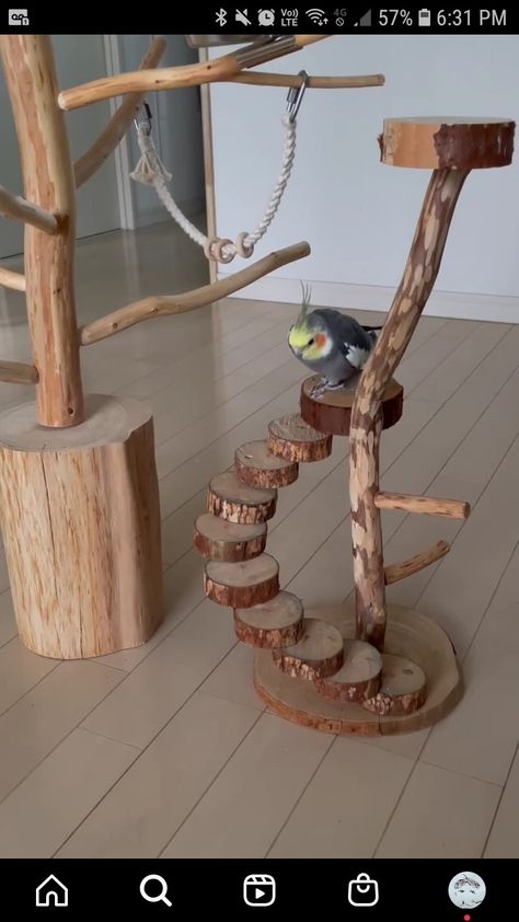 Toys For Budgies, Diy Bird Perch Stand, Bird Cage Setup Ideas, Bird Perch Diy, Diy Bird Cage How To Make, Bird Stands Diy Ideas, Diy Parrot Cage, Diy Bird Toys Parakeets, Bird Play Gym