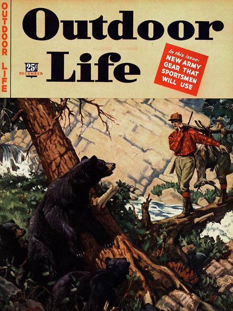 27 Vintage Outdoor Life Bear Covers From 1943 to 1970 | Outdoor Life Outdoor Life Magazine, Hunting Photos, Camping Illustration, Outdoor Magazine, Hunting Signs, Life Magazine Covers, Old Magazine, Vintage Hunting, Hunting Art