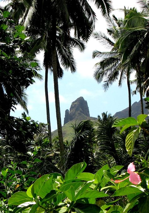 Hiva Oa, Marquesas Islands Marquesas Islands, South Pacific Islands, Places Worth Visiting, Another Day In Paradise, Landscape Elements, Tropical Getaways, Travel South, Beautiful Backgrounds, French Polynesia