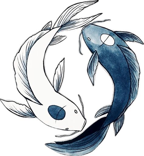 "Tui and La - Yin & Yang Koi" Sticker by nicoledesigns | Redbubble Yin Yang Avatar, Koi Sticker, Koi Yin Yang, Koi Fish Yin Yang, Tui And La, Yin Yang Dragon, Yin Yang Koi, Zodiac Tattoos, Love Tattoos