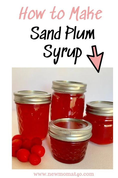 How to Make Sand Plum Syrup - New Mom at 40 Sand Plum Jelly Recipe, Wild Plum Jelly Recipe, Plum Syrup, How To Make Sand, Plum Juice, Jelly Meatballs, Easy Canning, Canning Pickles, Plum Recipes