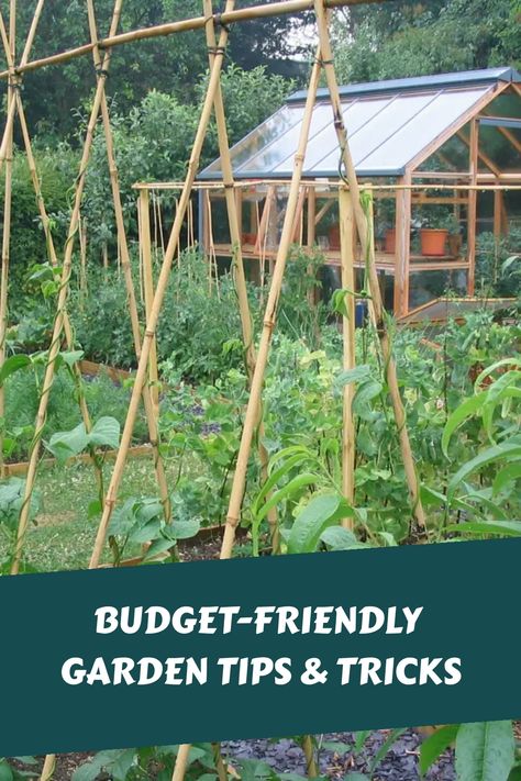 Budget-friendly vegetable garden with a greenhouse in the background. Allotment Ideas Budget, Recycled Garden Ideas, Frugal Gardening, Wooden Raised Garden Bed, Cheap Garden, Upcycle Garden, Garden Hacks, Eco Friendly Garden, Garden Solutions