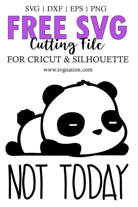 Not Today Panda SVG - Free High Qualify SVG Cut Files Panda Svg Files Free, Cute Animal Svg Free, Panda Svg Free, Svg Files Free Cricut, Svg Images Free, Svg Designs Free, Free Svg Images, Htv Designs, Onesie Designs