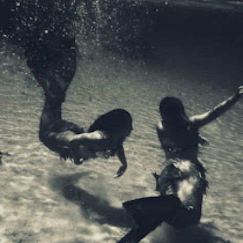 Real Mermaids, Mermaid Tale, Mermaid Dreams, Mermaid Aesthetic, Mermaids And Mermen, Mermaid Life, Six Feet Under, Mermaid Art, Sirens