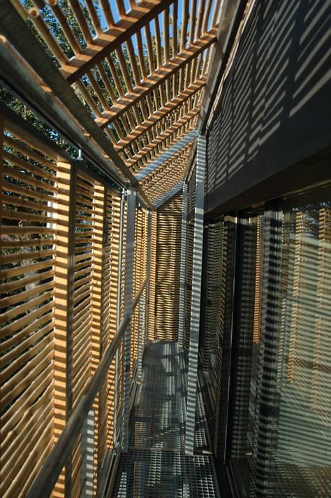 This solar passive house in France by Karawitz Architecture boasts a "second skin" of bamboo screens on steel frame Architectural Textures, Passive Solar Homes, Bamboo Screening, Houses In France, Bamboo Architecture, Passive Design, Bamboo House, Studio Inspiration, Solar Shades