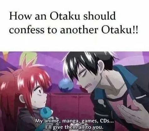 Blood Lad, Otaku Problems, Otaku Issues, Memes Anime, Anime Jokes, Anime Memes Funny, I Love Anime, Anime Life, Anime Quotes