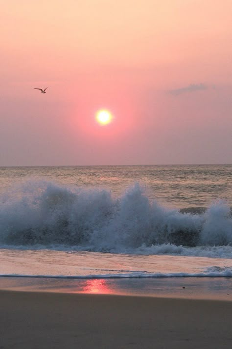 Outer Banks Sunrise-- Hatteras Island, North Carolina Hatteras Island, Waves Crashing, I Love The Beach, Sunset Beach, Ocean Beach, Outer Banks, Beautiful Sunset, Beach Photos, Ocean Waves