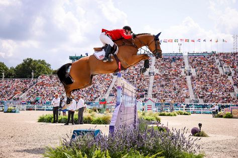 11 days of equestrian excitement ✔️  Watching the world’s best horses and riders in eventing, show jumping, and dressage during the Olympics was as thrilling as it gets. We hope you had a blast following along with our coverage of these talented, brave equine and human athletes.  What was your favorite moment?  For all of our Olympic equestrian articles ⬇️  📷️: FEI/Benjamin Clark Olympic Show Jumping, Equestrian The Game, Senior Horse Care, Olympic Equestrian, Horseback Riding Lessons, Horse Movies, Horse Arena, Show Jumping Horses, Equestrian Events