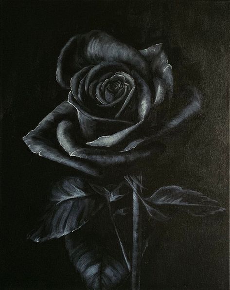 Black Rose Painting Acrylic, Black Rose Painting, Rose Art Painting, Rose Painting Acrylic, Black Roses Wallpaper, Black And White Roses, Rose Sketch, Black Canvas Paintings, Rose Oil Painting