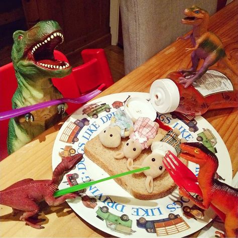 Dinovember ’18: The Story So Far… – Dirt, Diggers and Dinosaurs The Nut Job, The Story So Far, Dinosaur Theme Party, Creative Display, Dinosaur Theme, Prehistoric Creatures, Boxing Day, Dinosaur Christmas, Photo Op