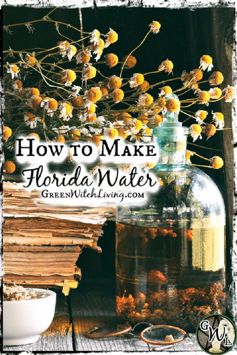 Basil Floor Wash Spell, Florida Water Diy, How To Make Florida Water, Diy Florida Water Recipe, Green Witch Home, Florida Water Recipe, Herb Tips, Diy Witch, Bene Gesserit