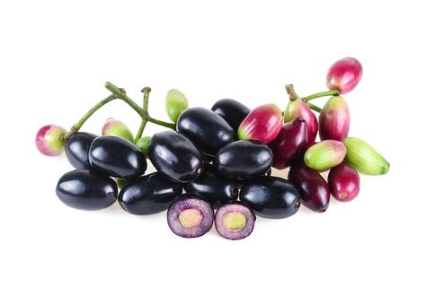 Photo jambolan plum or java plum isolate... | Premium Photo #Freepik #photo #green-plum #sour #plum #black-berry Jesus Christ Images, Java, Plum, White Background, Clip Art, Green