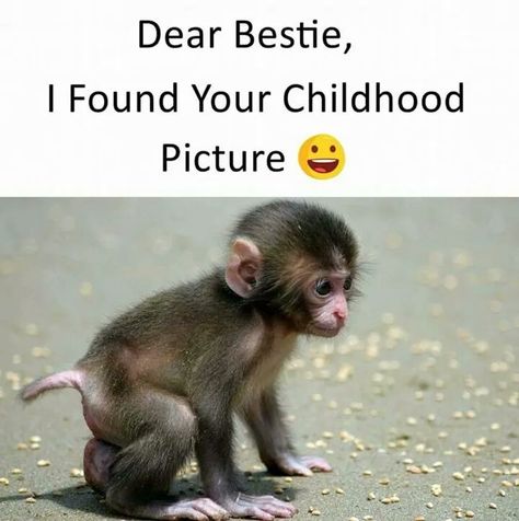 Hahaha😀😁😂😃 Best Friend Jokes, Dear Bestie, Haidar Ali, Friend Jokes, Childhood Pictures, Whatsapp Videos, Bff Quotes Funny, School Quotes Funny, Best Friend Quotes Funny