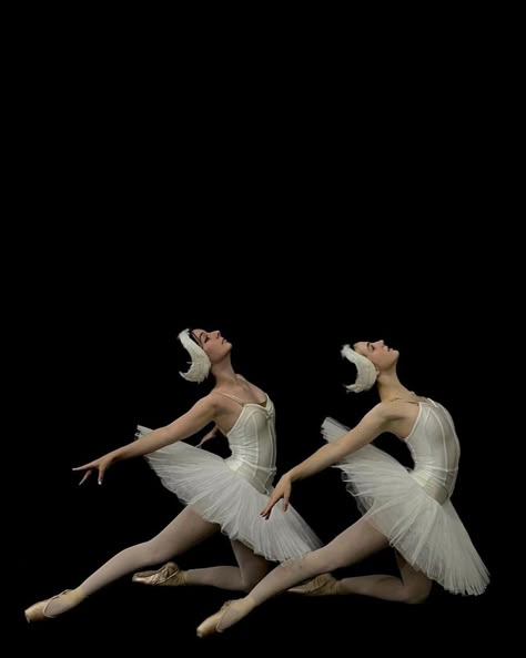 Duo Ballet Poses, Ballet Group Poses, Swan Lake Photoshoot, Duo Dance Poses, Ballet Duo, Couple Dance Poses, Ballet Logo, Ballet Swan Lake, Dance Duet