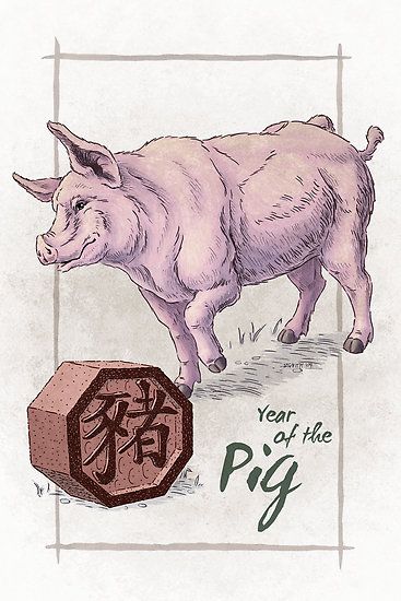 Chinese Zodiac - the Pig by Stephanie Smith Pig Chinese Zodiac, Pig Tattoo, Jackie Chan Adventures, Zodiac Years, Chinese Calendar, Chinese Astrology, Year Of The Rat, Year Of The Pig, Bristol Board