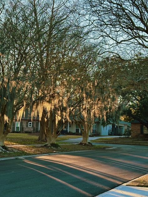 Louisiana Bayou Aesthetic, Baton Rouge Louisiana Aesthetic, Louisiana Aesthetic, Lana Del Rey Albums, Louisiana Bayou, Baton Rouge Louisiana, Usa States, New Orleans Louisiana, Planet Earth