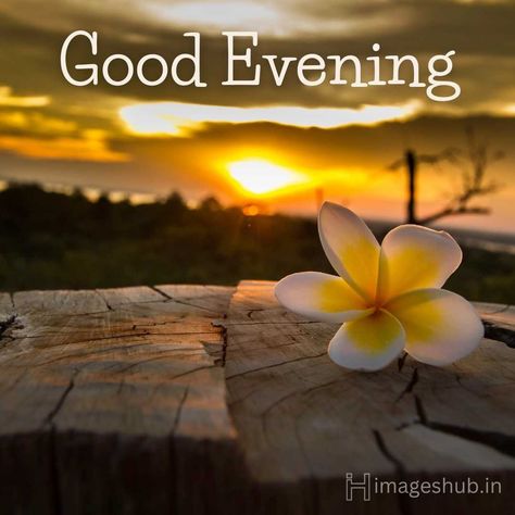 Good Evening Blessings, Good Evening Images Beautiful, Best Wishes Images, Good Evening Images, Evening Blessings, Evening Images, Evening Wishes, Good Evening Messages, Calming Pictures