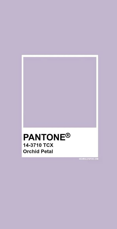 Color Palette Pantone, Color Inspiration Boards, Palettes Color, Pantone Color Chart, Pantone Swatches, Pantone Palette, Pantone Colour Palettes, Inspiration Images, Lavender Aesthetic