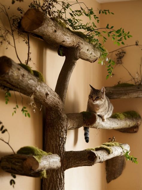 17 DIY Cat Shelves Ideas – The DIY Desire Diy Catification Ideas, Entertainment Center Cat Condo, Diy Cat Bookshelf, Cat Trees On Wall, Cat Tree Tree, Indoor Cat Wall Ideas, Cat Highway Ideas, Cattery Ideas Cat Room Diy, Cat Ceiling Walkways Diy