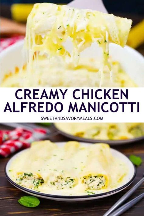 Creamy Chicken Alfredo Manicotti Recipe - Sweet and Savory Meals Recipes With Manicotti Noodles, Chicken Cannelloni Recipes, Quick Chicken Alfredo Recipe, Alfredo Manicotti, Manicotti Casserole, Best Manicotti Recipe, Manicotti Shells, Caneloni Recipe, Chicken Manicotti