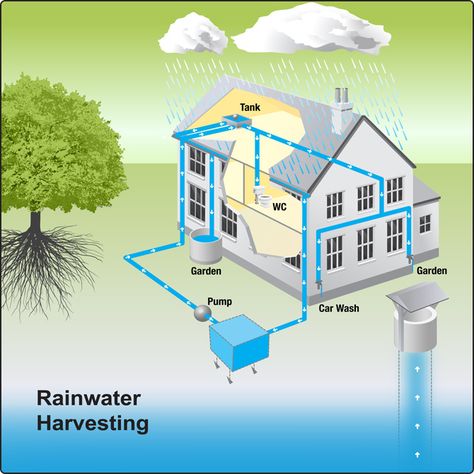 Rain Water Collection Diy, Rain Water Harvesting, Water Collection System, Water From Air, Rain Harvesting, Rainwater Collection, Water Harvesting, Rainwater Harvesting System, Rain Barrels