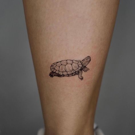 Tortious Tattoo, Freshwater Turtle Tattoo, Pond Turtle Tattoo, Earth Turtle Tattoo, Simple Tortoise Tattoo, Red Eared Slider Turtle Tattoo, Cute Tortoise Tattoo, Small Tortoise Tattoo, Turtles All The Way Down Tattoo