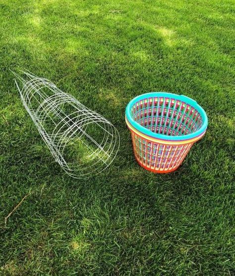 It's summertime and I'm creating things fun things to do with my kids! With some tomato cages and dollar store laundry baskets you can easily make a fun Frisbee golf course for your backyard. You can see more of my crazy creations here You'll Need:Tomato Cages (as many as you want)Dollar Tree Laundry Baskets (the same number as tomato cages)Frisbees or Beach BallsI decided to make 5 Frisbee Golf goals. Store Laundry Baskets, Cottage Games, Diy Backyard Movie, Tree Baskets, Teen Activities, Dollar Tree Baskets, Backyard Movie Theaters, Camp Games, Large Backyard Landscaping