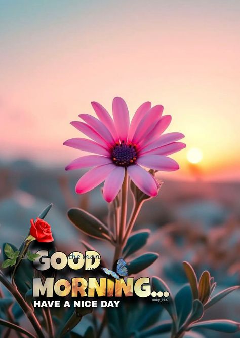 New Latest Good Morning Images, New Good Morning Images Hd, Morning Massage, Morning Images In Hindi, Buddha Doodle, Latest Good Morning Images, Happy Good Morning Images, Good Morning Massage, Good Morning Wishes Gif