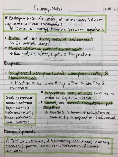 Ecology Study Notes, Environmental Studies Notes, Ecology Notes Aesthetic, Zoology Project Ideas, Environmental Science Notes, Life Science Notes, Ecology Notes, Zoology Notes, Environmental Science Major