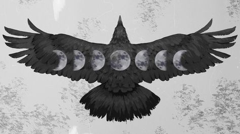 Raven With Wings Out, Moon And Raven Tattoos, Witchy Crow Tattoo, Raven With Moon Tattoo, Raven And Wolf Tattoo Ideas, Crow Sternum Tattoo, Crow Moon Tattoo, Crow And Moon Tattoo, Raven Chest Tattoo Female