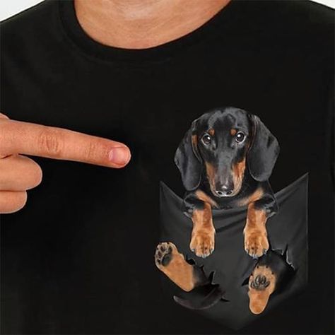 Pocket Dog, Everyday Cosplay, Pocket T Shirt, Mini Dachshund, Boxing T Shirts, Dachshund Puppy, Dog T Shirt, Funny Hoodies, Pocket Shirt