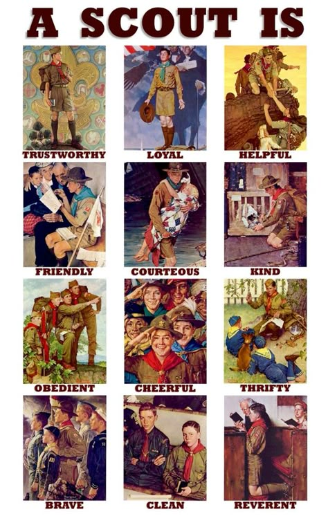 Boy Scout Activities, Cub Scouts Wolf, Boy Scouts Eagle, Cub Scouts Bear, Tiger Scouts, Bear Scouts, Eagle Scout Ceremony, Cub Scout Activities, Norman Rockwell Art