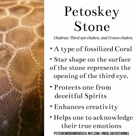 Petoskey Stone crystal meaning Petoskey Stone Meaning, Fossilized Coral Crystal Meaning, Prophecy Stone Meaning, Petosky Stone, Crystal Cards, Crystal Magick, Spiritual Mentor, Crystal Healing Chart, Petoskey Stone