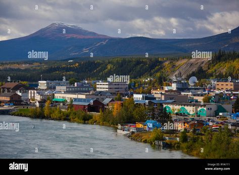 Yukon Territory Canada, Yukon Territory, Image Processing, White Horse, Photo Image, Around The Worlds, High Resolution, Stock Images, Resolution