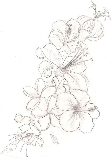 This just gave me inspirati - http://goo.gl/waWDCL Hawaiian Flower Drawing, Tropical Flower Tattoos, Orchid Flower Tattoos, Drawing Of Flowers, Hibiscus Flower Tattoos, Hibiscus Tattoo, Orchid Tattoo, Flower Tattoo Drawings, Flower Tattoo Shoulder