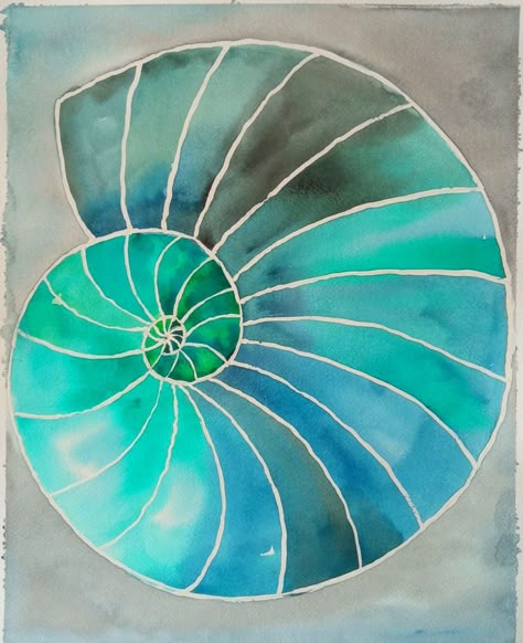 Shell Painting Easy, Watercolour Seashells, Nautilus Art, Ocean Journal, Ocean Shells, The Nautilus, Spiral Art, Seashell Painting, Mosaic Tile Art