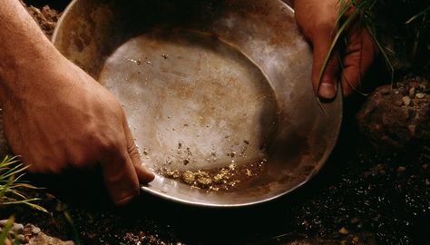 Panning For Gold, Gold Prospecting, Fields Of Gold, Creek Bed, Gem Mining, Rock Types, Fool Gold, Gold Mining, Gold Nugget