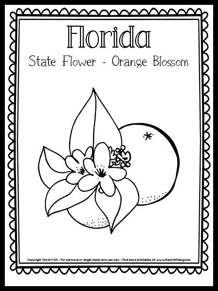 Florida State Flower Coloring Page (the Orange Blossom!) {FREE Printable!} - The Art Kit Florida State Flower, Florida State Flag, Cute Simple Tattoos, Pumpkin Decorating Contest, The 50 States, Homeschool Geography, Fruit Coloring Pages, Flag Coloring Pages, State Symbols