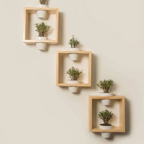 Wall Shelf Ideas ✨️ #wallshelf #wallshelves #wallshelfdecor #wallshelfscandishopper #wallshelfdesign #interiors #woodworking #carpenter #sethiglassplywood #styleideasdaily #healthyhairjourney #silverjewellery #parisolympics2024 #khushikapoor Ideas Para Repisas, Wall Shelf Ideas, Wall Floating Shelves, Standing Pot, Mirror Decor Ideas, Doors Interior Modern, Room Wall Painting, Designing Ideas, Door Glass Design