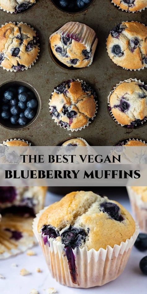 pinterest image Dairy Free Muffins, Vegan Blueberry Muffins, Vegan Baking Recipes, White Grape, Eggless Recipes, Vegan Bakery, Vegan Cake Recipes, Vegan Blueberry, Vanilla Greek Yogurt