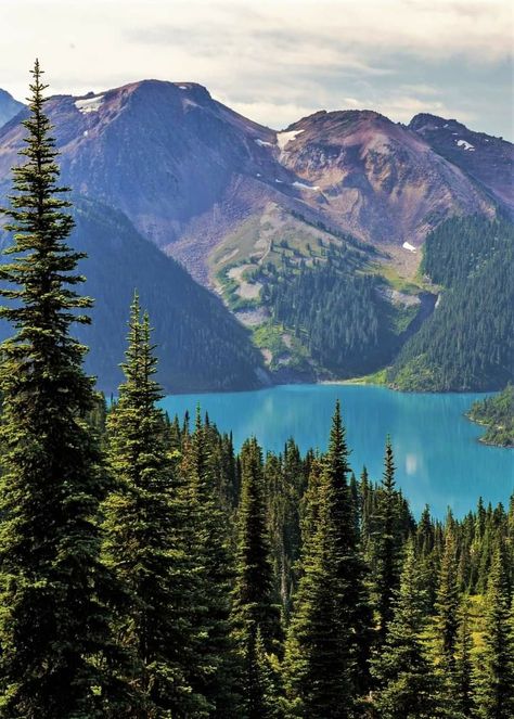 Garibaldi Lake, British Columbia, Canada Kelowna British Columbia Aesthetic, British Columbia Aesthetic, Panorama Ridge, British Columbia Mountains, Canada British Columbia, Say Yes To New Adventures, Selfie Station, Kelowna British Columbia, Summer Hike