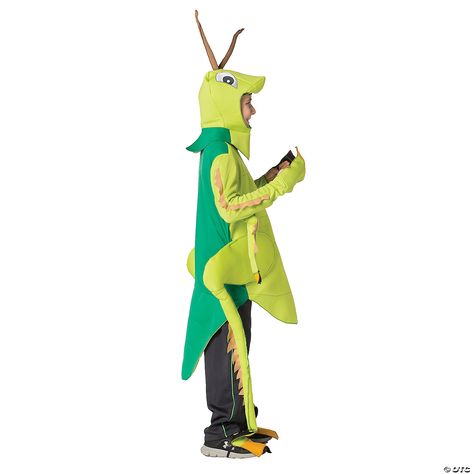 Grasshopper Costume, Grass Hopper, James And Giant Peach, Mens Halloween Costumes, Book Week, Couples Costumes, Diy Costumes, Adult Costumes, Spirit Halloween