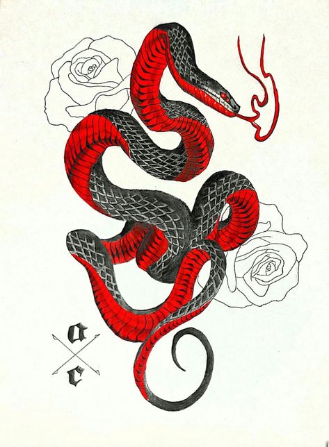 Red Snakes Tattoos, Red Snake Drawing, Red Belly Black Snake Tattoo, Coiled Snake Drawing, Red And Black Snake Tattoo, Snake Doodle, Black Snake Tattoo, Ink Tattoo Design, Red And Black Snake