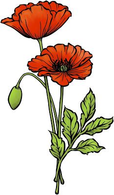 Beccy's Place: April Challenge - Bingo Poppy Flower Drawing, Remembrance Day Art, Motifs Art Nouveau, Poppy Drawing, Flower Drawing Tutorials, 강아지 그림, Poppy Painting, Flower Sketches, Flower Art Painting